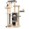 Image de COSTWAY Grand Arbre à Chat 173CM - 3 Condos 2 Perchoirs Hamac - Tour à chat - Griffoir Poteaux sisal boule à ressort - Gris
