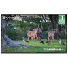 Image de Télévision extérieure - SYLVOX Frameless Pro - 65 (165 cm) - 4K UHD - 2000 nits - IP56 étanche