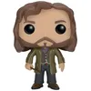 Image de Figurine Funko Pop! Harry Potter : Sirius Black - FUNKO - Harry Potter - 10 cm - Vert - Collection