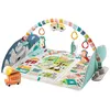 Image de Fisher Price Mon Tapis DÃ©couvertes Ãvolutif Tapis D'Ã©veil-Mattel en occasion ou reconditionné