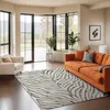 Image de LIVABLISS Tapis de Salon à Poils Courts Doux Zébré Bohème CYBELE 120x170cm Gris Foncé/Beige