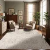 Image de LIVABLISS Tapis de Salon à Poils Courts Doux Vintage Oriental LOTUS 130x170cm Gris/Beige