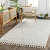 Image de LIVABLISS Tapis de Salon à Poils Courts Doux Berbère Ethnique ELAINE 160x213cm Ivoire