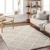 Image de LIVABLISS Tapis de Salon à Poils Longs Doux Shaggy Scandinave Bohème JANE 160x220cm Blanc/Beige