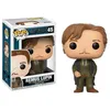 Image de Figurine Funko Pop! Harry Potter: Remus Lupin