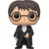 Image de Figurine Funko Pop! Harry Potter S7 : Harry Potter (Yule)