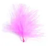 Image de SANTEX Plume de couleur rose