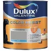 Image de DULUX VALENTINE COLOR RESIST - Peinture intérieure murs et boiseries - 1L - aluminium