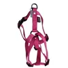 Image de Martin Sellier - Harnais en Nylon Réglable de 10-25-35cm pour Chien - Rose