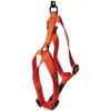 Image de Martin Sellier - Harnais en Nylon Réglable de 20-50/70cm pour Chien - Orange