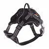 Image de Harnais arka dog S gris