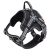 Image de Harnais pour chien Martin Sellier - gris - Gris - XL