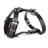 Image de Harnais cuir 21-65 noir