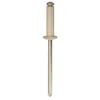 Image de RESTAGRAF - Rivets rivets epanouis peints - 4925