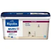 Image de Peinture deco murs boiseries & radiateurs - RIPOLIN - 441606 - Beige glaise - Velours - 25 L