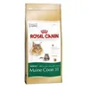 Image de Croquettes - ROYAL CANIN - Maine Coon 31 - 4 kg - Aliment pour chats adultes - Grand format