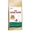 Image de Royal Canin Maine Coon 31 - Croquettes - 10 kg