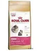 Image de Royal Canin Chat Royal Canin kitten persian 32  