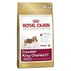 Image de Croquettes pour chien - Royal Canin - Cavalier King Charles 27 - 3 kg - Soutien cardiaque - Poil éclatant