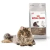 Image de ROYAL CANIN AGEING 12+ PER GATTI ANZIANI - 400 GR