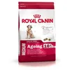 Image de Croquettes pour chien senior de taille moyenne ROYAL CANIN Medium Ageing 10+ - 3 kg