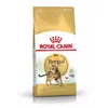 Image de Royal Canin Bengal Adult 10 kg