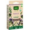 Image de Engrais vert Phacélie - BIO - Petit Modèle