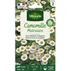 Image de Graine - Vilmorin - Camomille Ordinaire