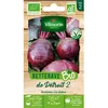 Image de Graines - Vilmorin - Betterave Potagère Detroit 2 - BIO