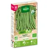 Image de Haricot nain vert sans fil Cupidon bio 20m Vilmorin
