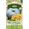 Image de Graines - Vilmorin - Potiron Bleu de Hongrie - BIO