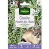 Image de Graines - Vilmorin - Cataire Menthe des Chats (Nepeta cataria) - Grand Modèle