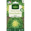 Image de Graines - Vilmorin - Chicorée Scarole Grosse Bouclée 2