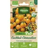 Image de Graines - Vilmorin - Tomate Cocktail Clémentine - BIO