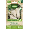 Image de Graine - Vilmorin - Persil Tubéreux Halblange - BIO