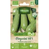 Image de Graines - Vilmorin - Courgette Greyzini - BIO