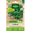 Image de Graine - Vilmorin - Coriandre Cultivée - BIO - Grand Modèle