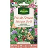 Image de Graines - Vilmorin - Pois de Senteur Korrigan varié