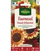 Image de Graines - Vilmorin - Tournesol Beauté dAutomne