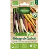 Image de Graines - Vilmorin - Carotte Mélange de Couleurs - BIO