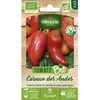 Image de Graines - Vilmorin - Tomate Cornue des Andes - BIO