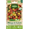 Image de Graines - Vilmorin - Tomate Cerise en mélange - BIO