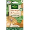 Image de Courge Musquée de Provence