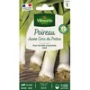 Image de Graines - Vilmorin - Poireau Jaune Gros du Poitou