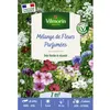 Image de Graines - Vilmorin - Fleurs Parfumées - 7 m² - Mélange de fleurs