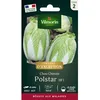 Image de Graines - Vilmorin - Chou Chinois Polstar HF1 - Graines dException