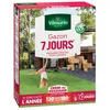 Image de Gazon - Vilmorin - Gazon 7 jours - 3 kg + Gazon Japonais - 4 m² - Mélange de fleurs