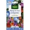 Image de Graines - Vilmorin - Fleurs Grimpantes - 4 m² - Mélange de fleurs