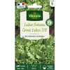 Image de Graines - Vilmorin - Laitue Batavia Great Lakes 119
