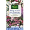 Image de Graines - Vilmorin - Fleurs Vivaces Hautes - 4 m² - Mélange de fleurs